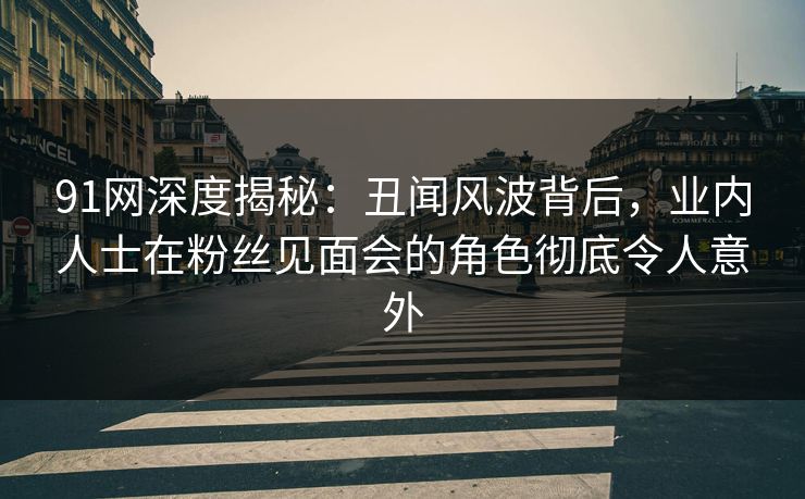 91网深度揭秘：丑闻风波背后，业内人士在粉丝见面会的角色彻底令人意外