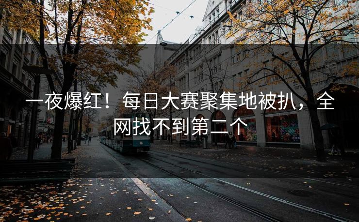 一夜爆红！每日大赛聚集地被扒，全网找不到第二个