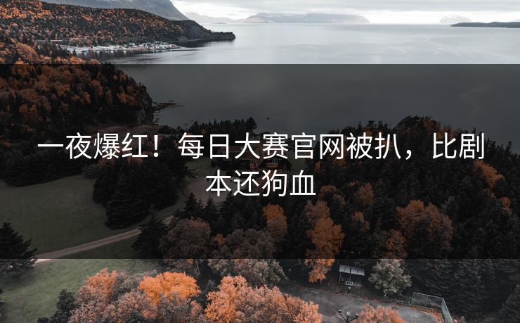 一夜爆红！每日大赛官网被扒，比剧本还狗血
